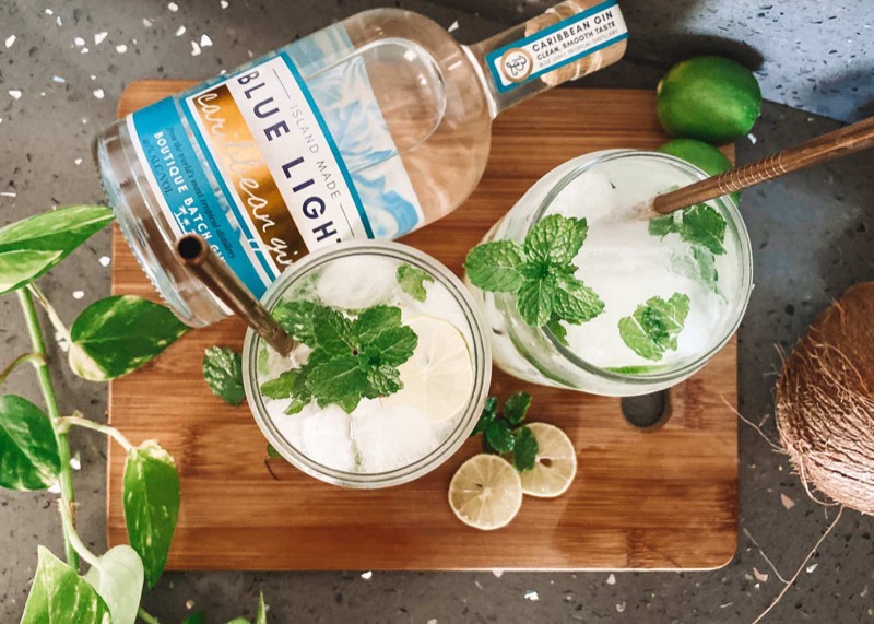 Caribbean Gin Mojito