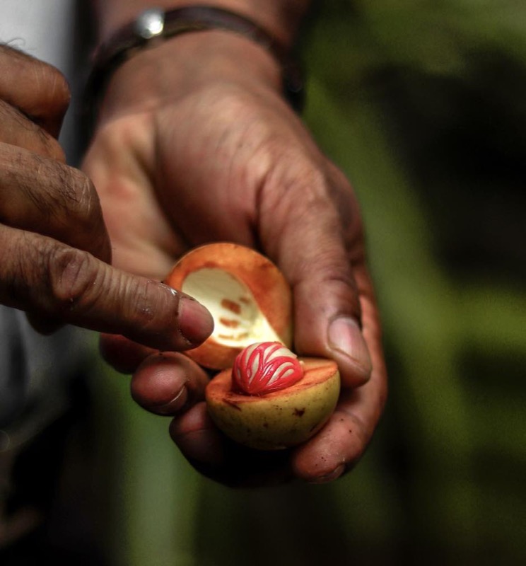 Locally grown nutmeg