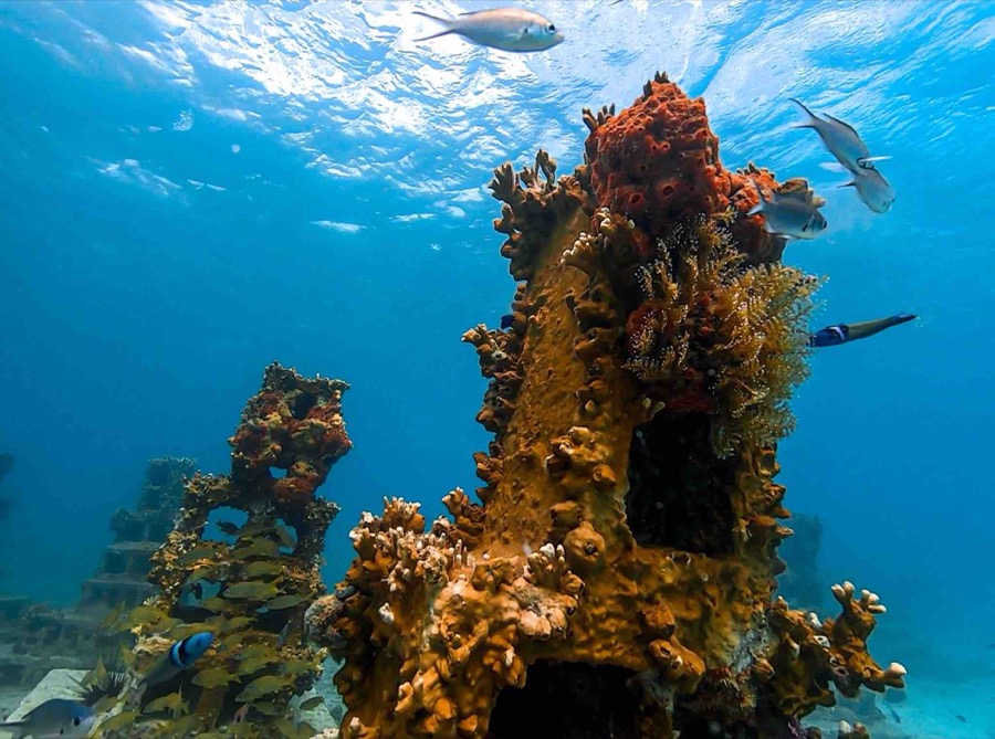 GAARP artificial reef project