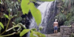 Waterfall at Wild Orchid Bar Grenada