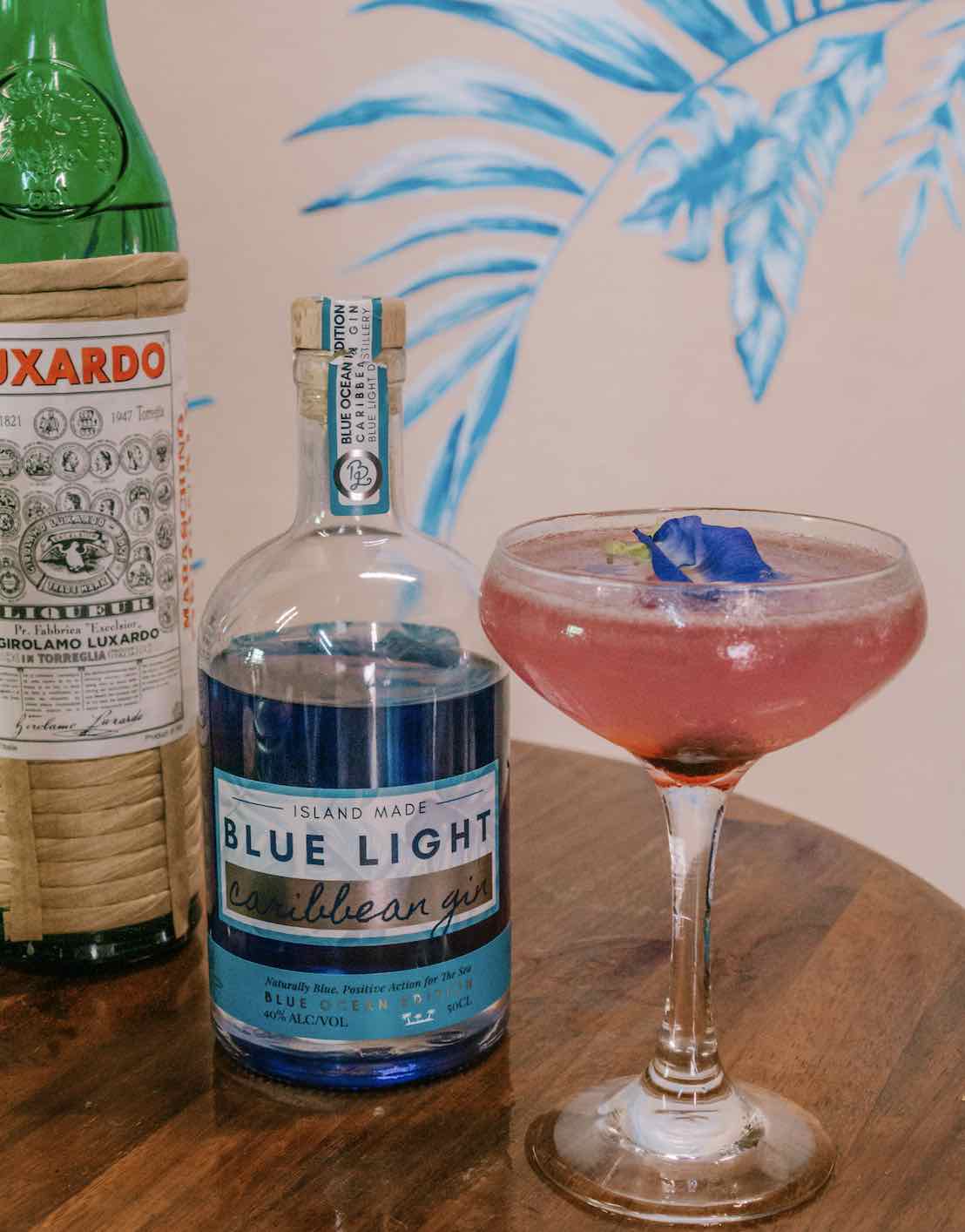 Aviation Cocktail with blue Light Caribbean Gin